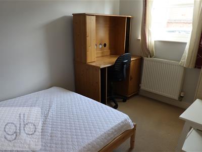Picture 8